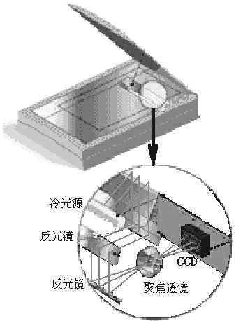 1340-6.jpg (27235 字节)