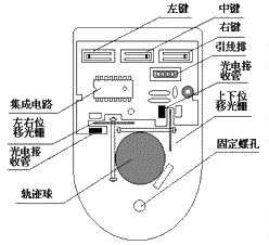 20-1.gif (6539 字节)