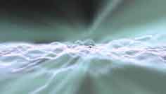 99021001_16.jpg (7861 字节)