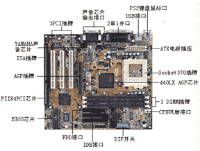 2002.gif (16708 字节)