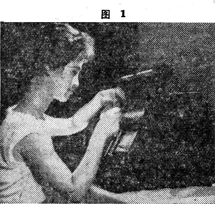 图1