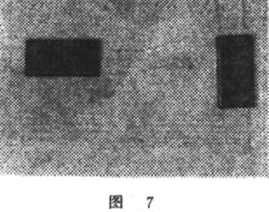 图7